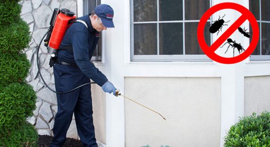 Yahşihan Gümüşkurt İlaçlama böcek ilaçlama ve haşere kontrolü — ilaclama-tr.com